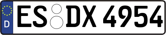 ES-DX4954