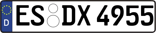 ES-DX4955