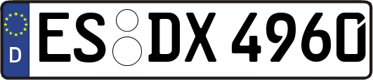 ES-DX4960