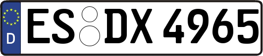 ES-DX4965