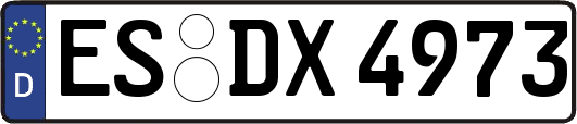 ES-DX4973