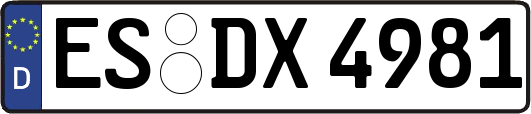 ES-DX4981