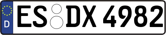ES-DX4982