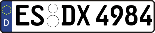 ES-DX4984
