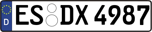 ES-DX4987