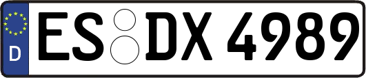 ES-DX4989
