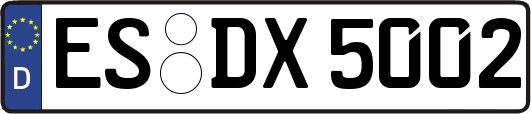 ES-DX5002
