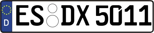 ES-DX5011