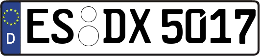 ES-DX5017
