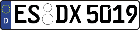 ES-DX5019