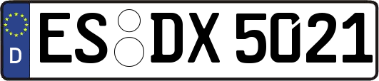 ES-DX5021