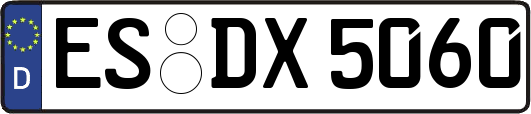ES-DX5060