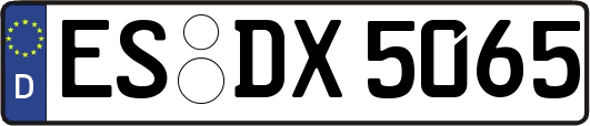 ES-DX5065