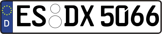 ES-DX5066