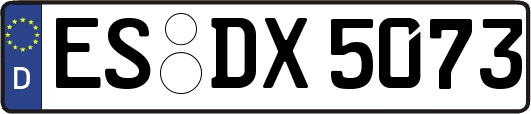 ES-DX5073