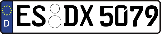 ES-DX5079