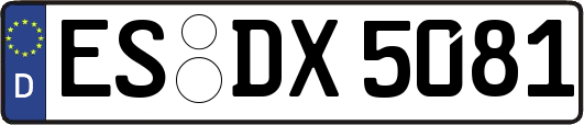 ES-DX5081