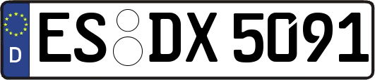 ES-DX5091