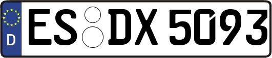 ES-DX5093
