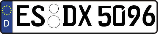 ES-DX5096