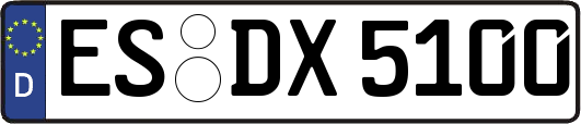 ES-DX5100