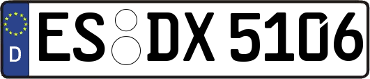 ES-DX5106