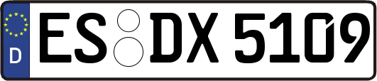 ES-DX5109
