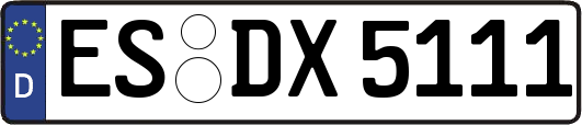 ES-DX5111