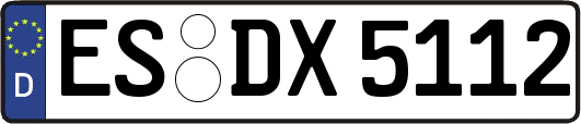 ES-DX5112