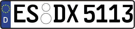 ES-DX5113