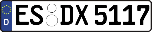 ES-DX5117