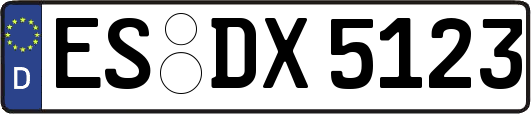ES-DX5123