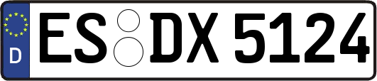 ES-DX5124