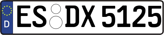 ES-DX5125