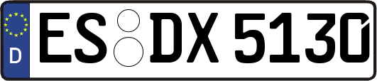 ES-DX5130