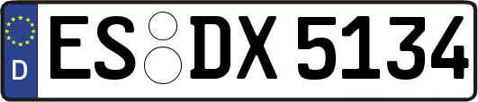 ES-DX5134