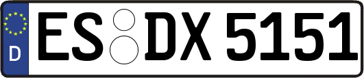 ES-DX5151