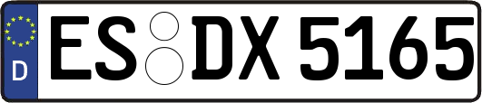 ES-DX5165
