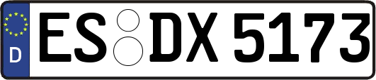 ES-DX5173
