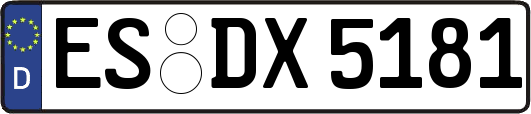 ES-DX5181