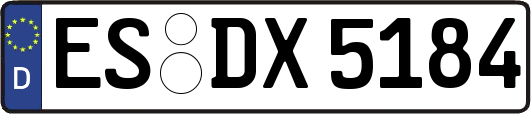 ES-DX5184