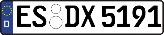 ES-DX5191