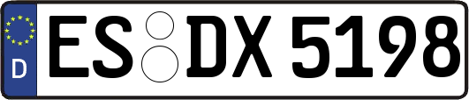 ES-DX5198