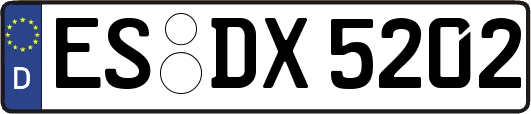 ES-DX5202