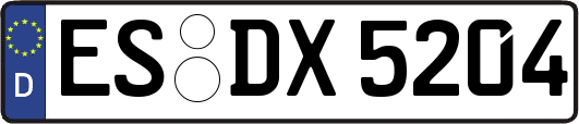 ES-DX5204