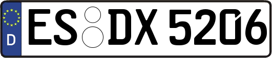 ES-DX5206