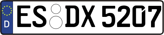 ES-DX5207