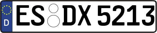 ES-DX5213