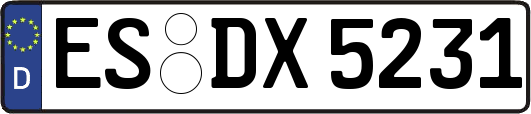 ES-DX5231