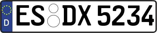 ES-DX5234